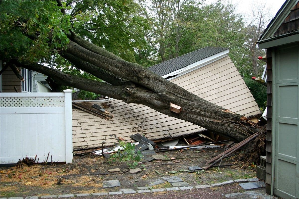Storm Damage