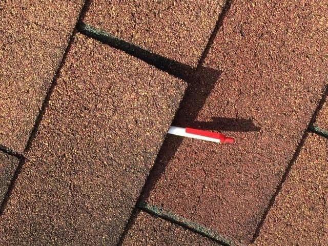 Pen in shingle
